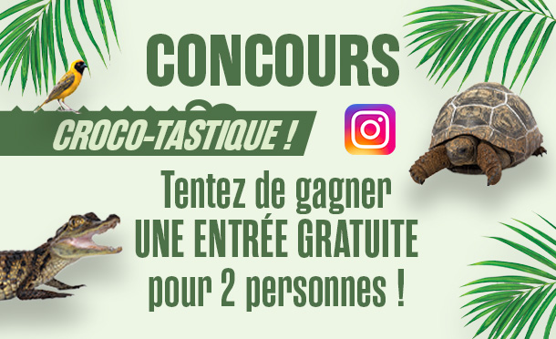 Jeu concours Instagram - Eté 2023 - La Ferme aux Crocodiles Réserve Tropicale