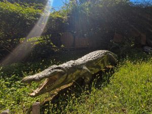 Sculpture crocodile La Ferme aux Crocodiles Réserve Tropicale à Pierrelatte 