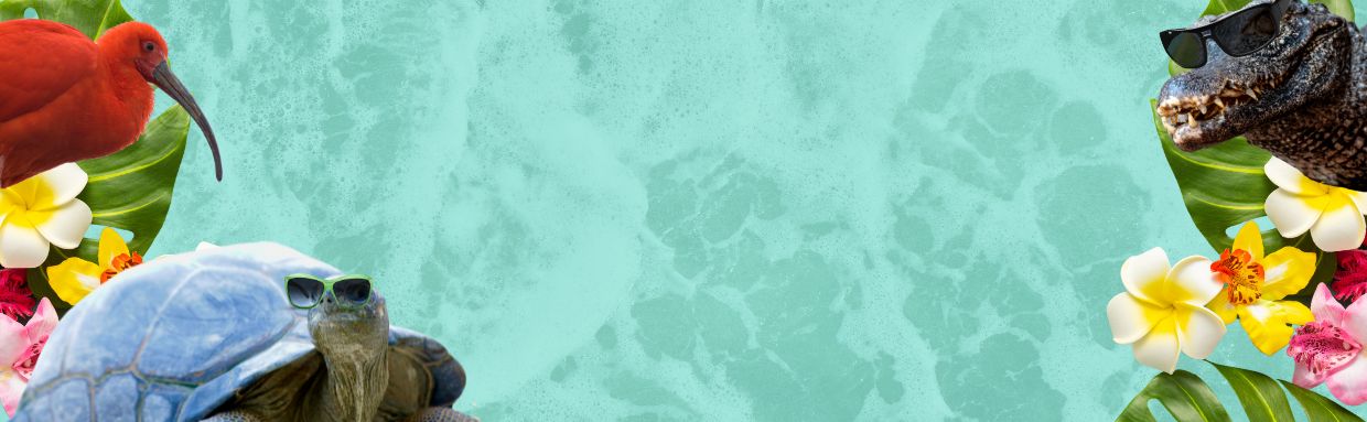 Vacances scolaires été La Ferme aux Crocodiles Réserve Tropicale Pierrelatte