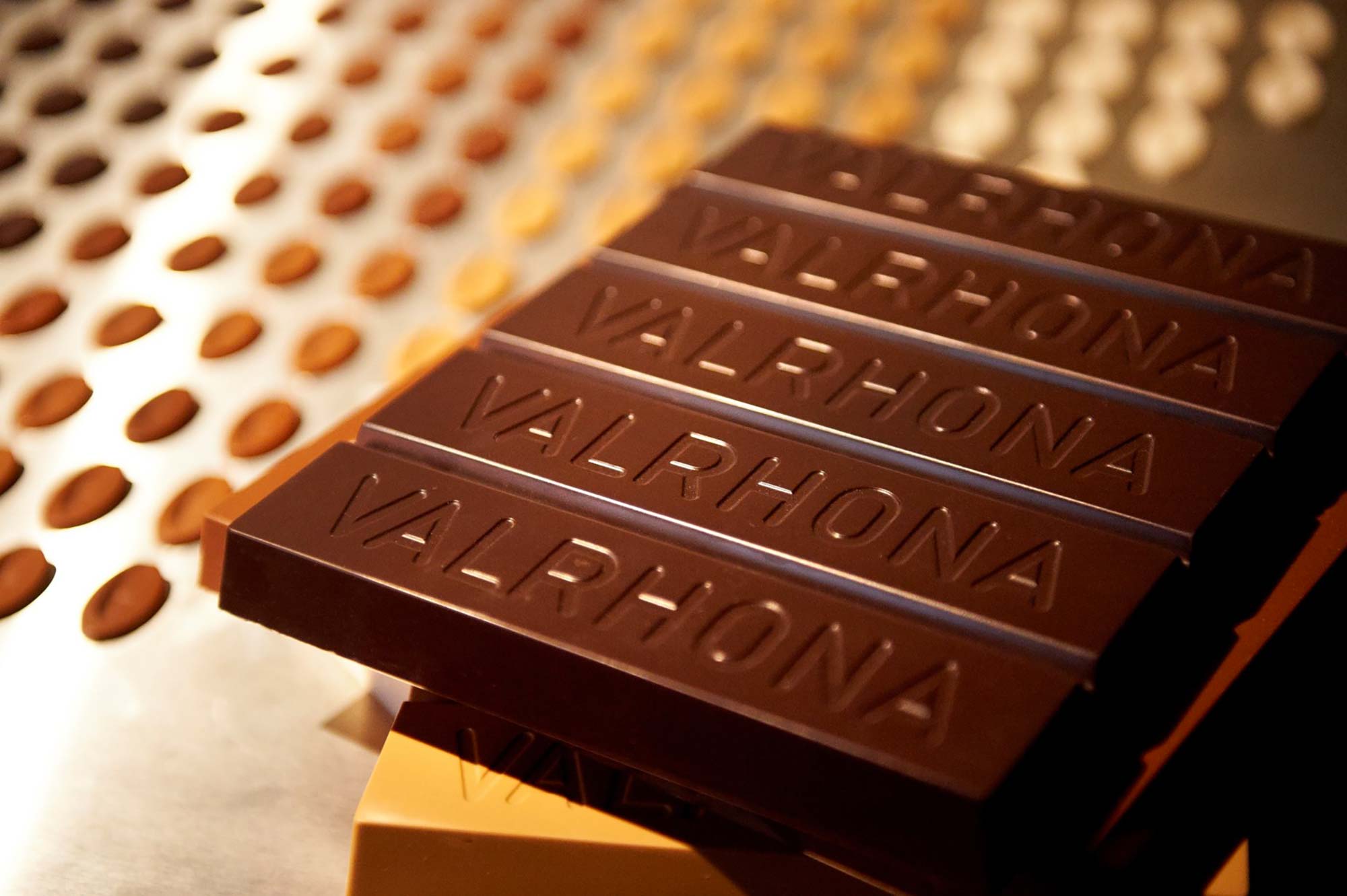 Cité du Chocolat Valrhona - Ferme aux crocodiles