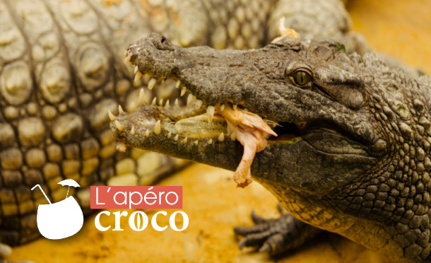 Home Ferme Aux Crocodiles