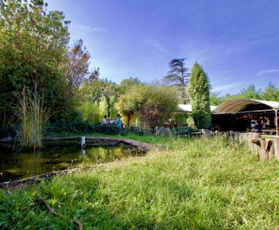 Aire de pique-nique de La Ferme aux Crocodiles - Réserve Tropicale