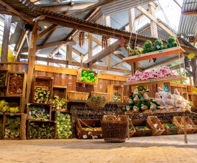 Boutique La Ferme aux Crocodiles - Réserve Tropicale