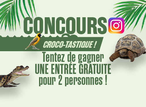 Jeu Concours Instagram été 2023 - La Ferme aux Crocodiles Réserve Tropicale