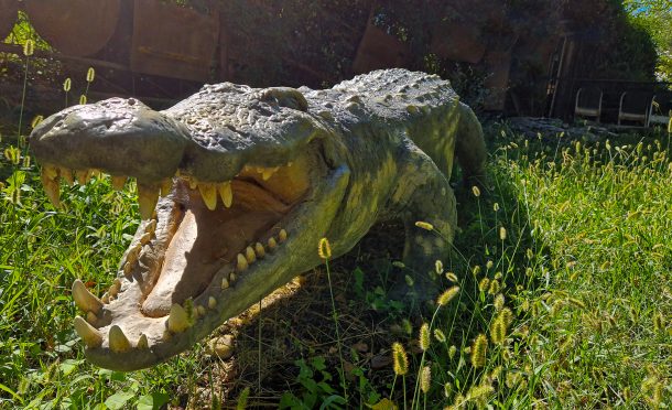 Sculpture crocodile - Zone extérieure La Ferme aux Crocodiles Réserve Tropicale Pierrelatte