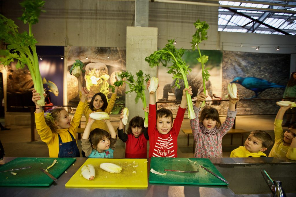 Visites centres de loisirs - Pédagogie - La Ferme aux Crocodiles Réserve Tropicale Pierrelatte