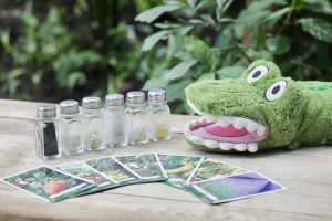 Visite scolaire à La Ferme aux Crocodiles Réserve Tropicale, à Pierrelatte