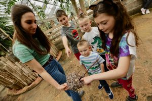 Sortie centre de loisirs à la Ferme aux Crocodiles - Réserve Tropicale - Pierrelatte - Drôme provençale