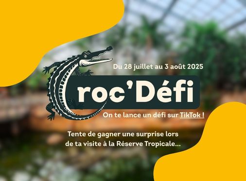 Summer game 2025 - La Ferme aux Crocodiles - Réserve Tropicale - Tik Tok