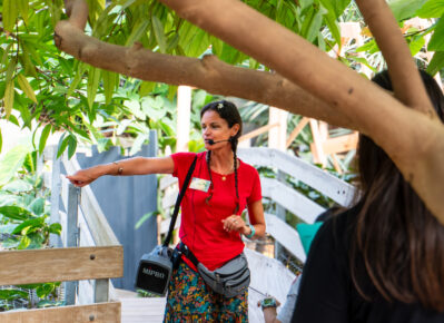 Visite guidée pour groupes professionnels