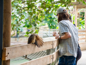 visite libre pour groupes professionnels, associations, cse, collectivités