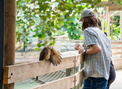 visite libre pour groupes professionnels, associations, cse, collectivités