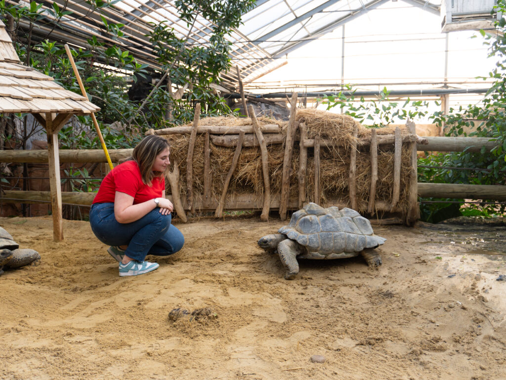 Dans la peau d'un soigneur - La Ferme aux Crocodiles Réserve Tropicale Pierrelatte