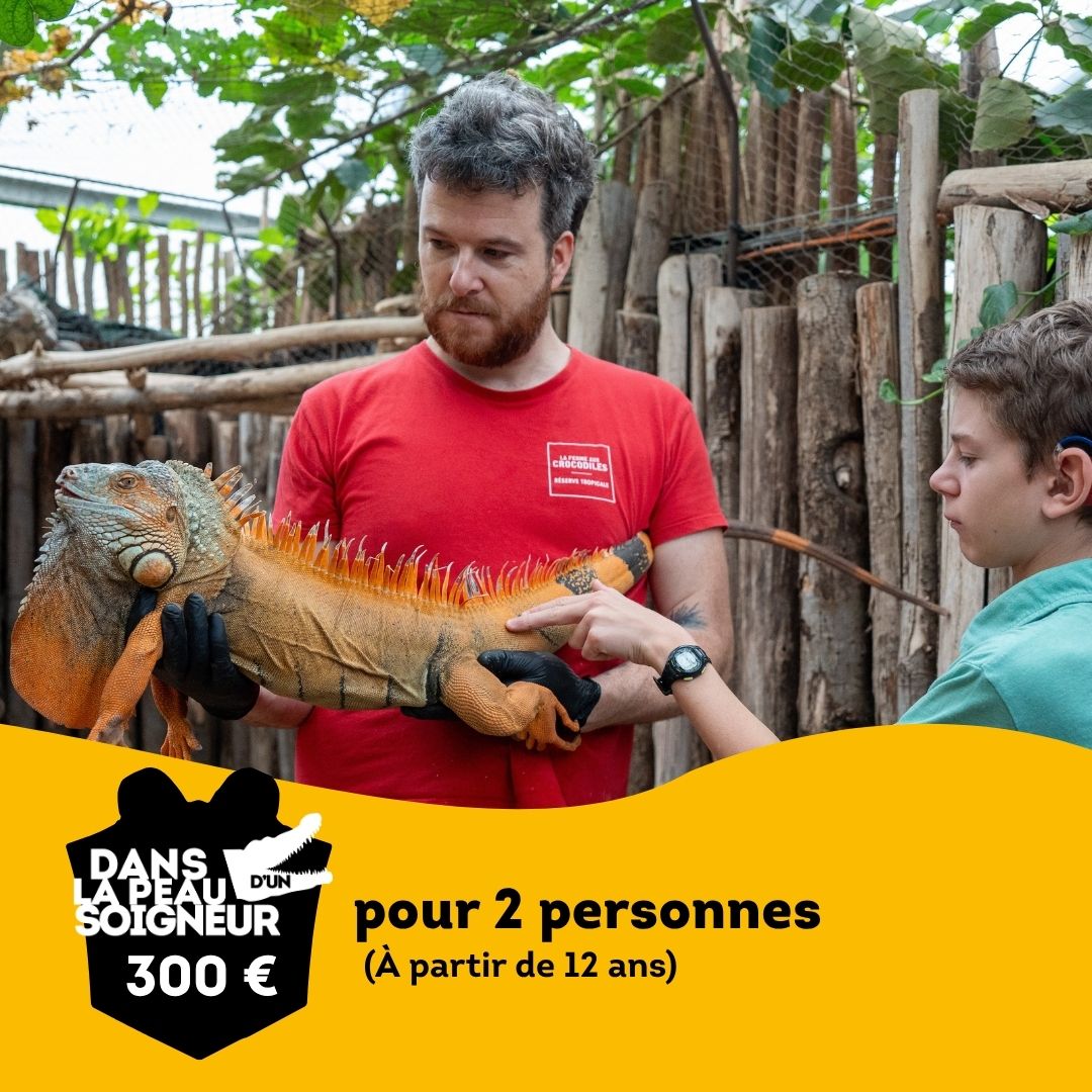 Le Ticket d'Or de la Réserve Tropicale, Pierrelatte, en mai 2026